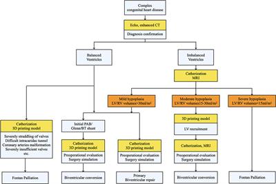 Impact of 3D Printing on Short-Term Outcomes of Biventricular Conversion From Single Ventricular Palliation for the Complex Congenital Heart Defects